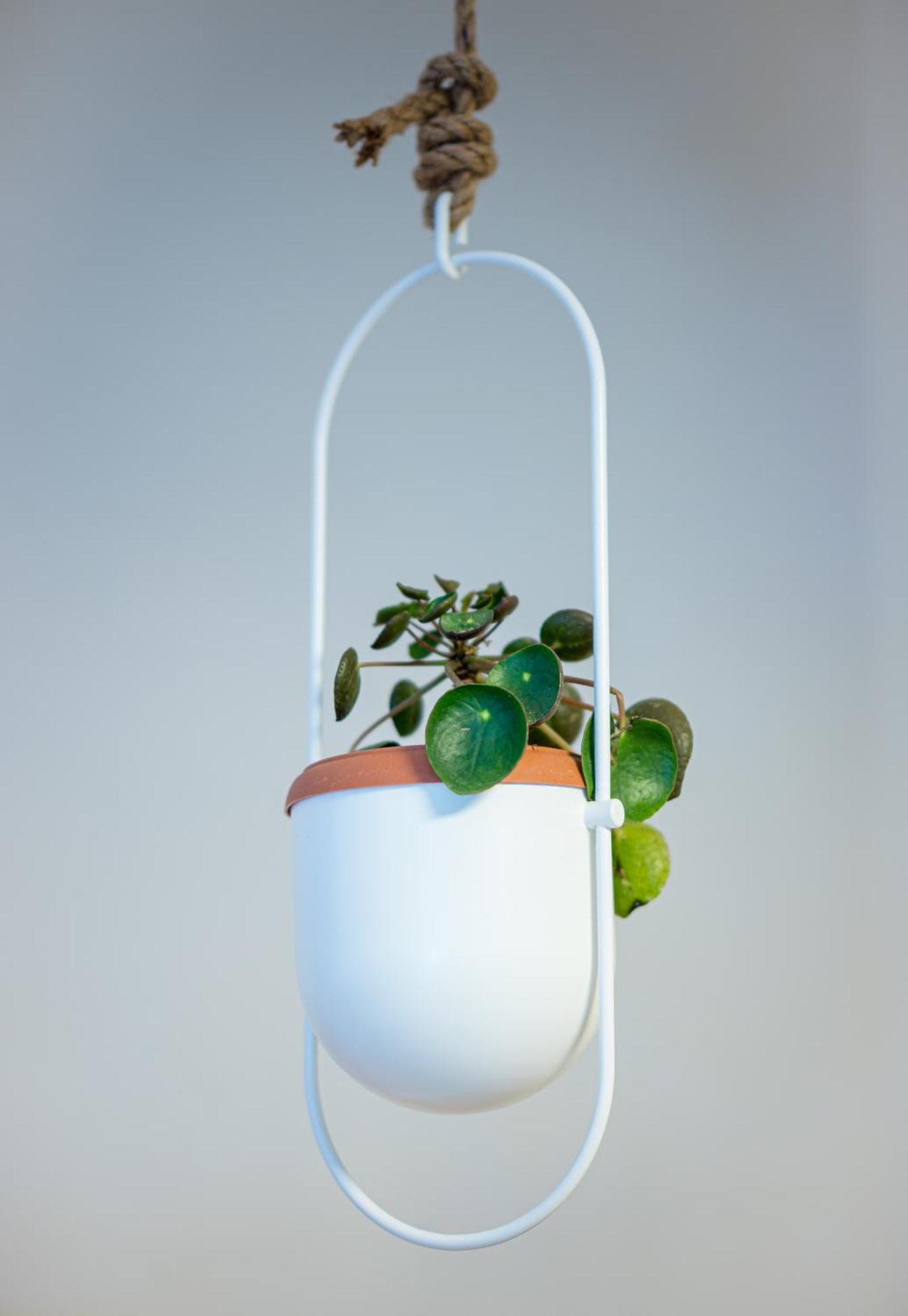 Coconut Blue Lejlighed Itea Eksteriør billede
